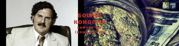 стаф Мегион