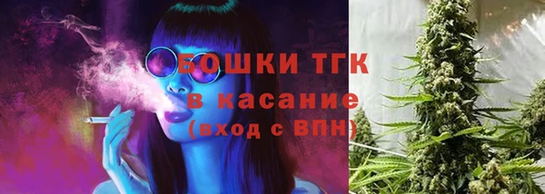 стаф Мегион